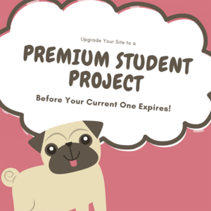 Get a premium student project